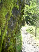 5.5.06 Eagle Creek 077 